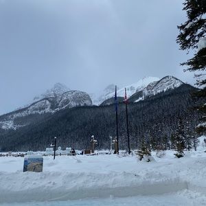 Meet your Posher, Wooje